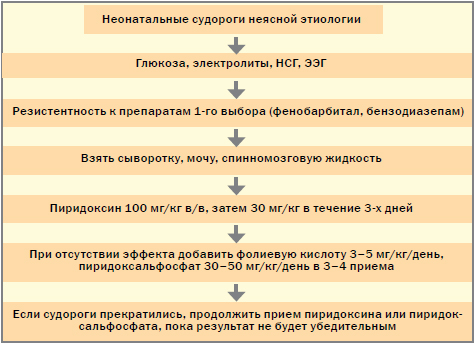 Рисунок 3. Диагностический алгоритм – неонатальные судороги (P. Clayton, B. Plecko)